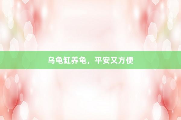 乌龟缸养龟，平安又方便