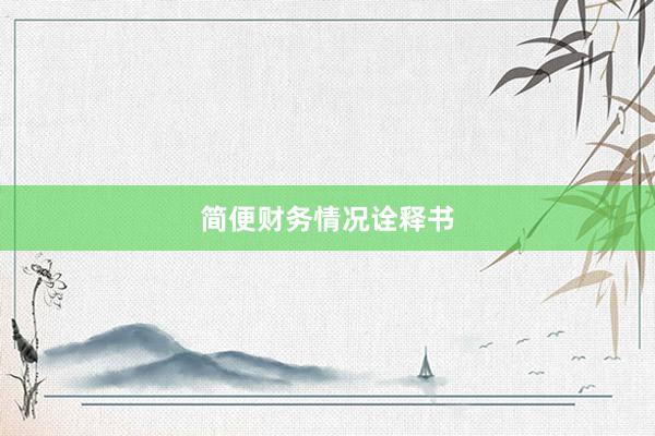 简便财务情况诠释书